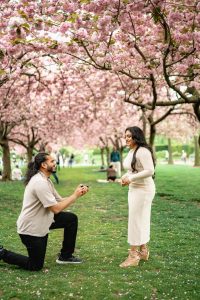 Spring proposal at Brooklyn Botanic Garden: man on one knee on the lawn under cherry blossom in full bloom, woman in a white dress